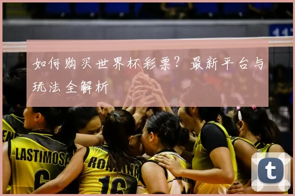 如何购买世界杯彩票？最新平台与玩法全解析