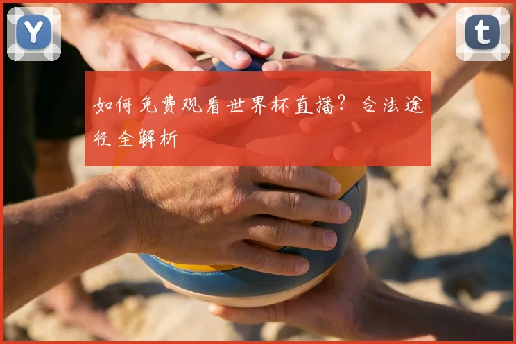 如何免费观看世界杯直播？合法途径全解析