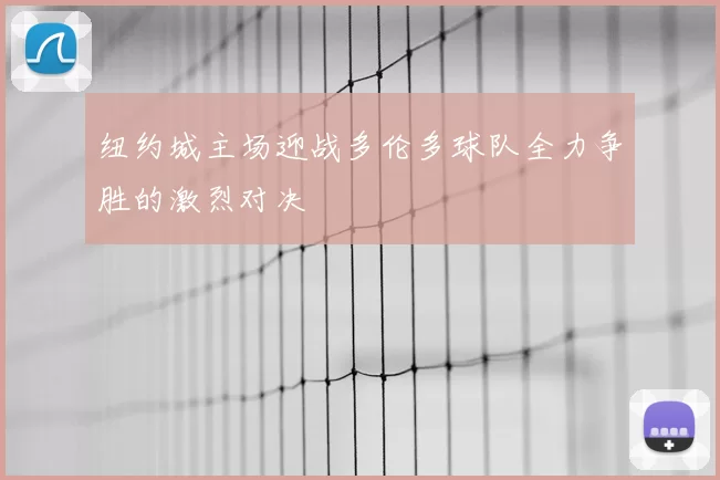 纽约城主场迎战多伦多球队全力争胜的激烈对决