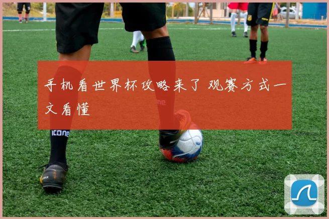 手机看世界杯攻略来了 观赛方式一文看懂