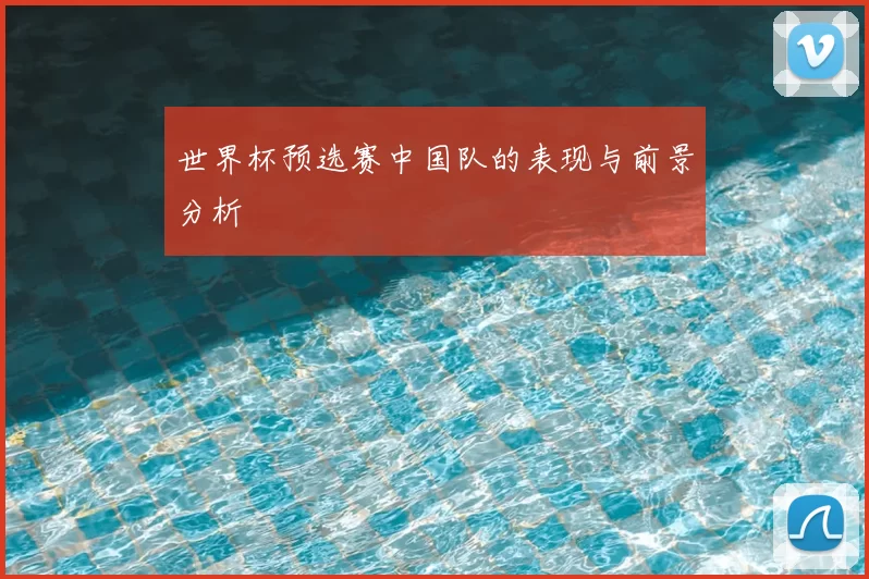 世界杯预选赛中国队的表现与前景分析