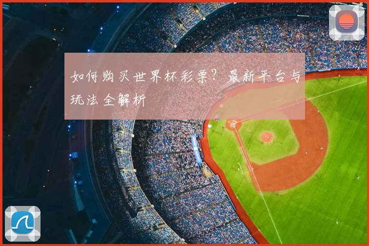 如何购买世界杯彩票？最新平台与玩法全解析