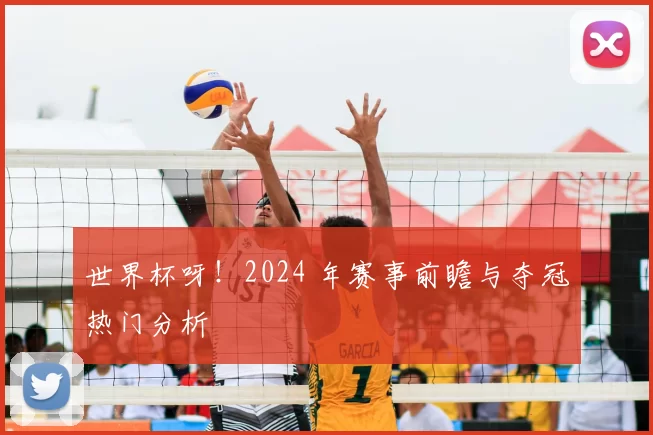 世界杯呀！2024 年赛事前瞻与夺冠热门分析