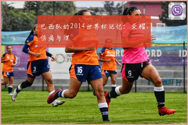 巴西队的2014世界杯记忆：荣耀、伤痛与涅槃