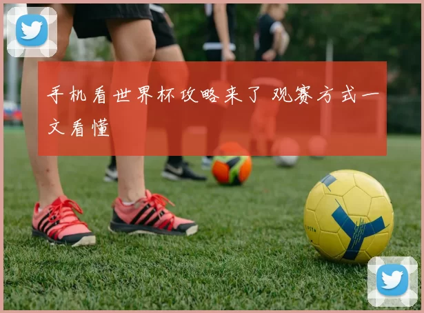 手机看世界杯攻略来了 观赛方式一文看懂