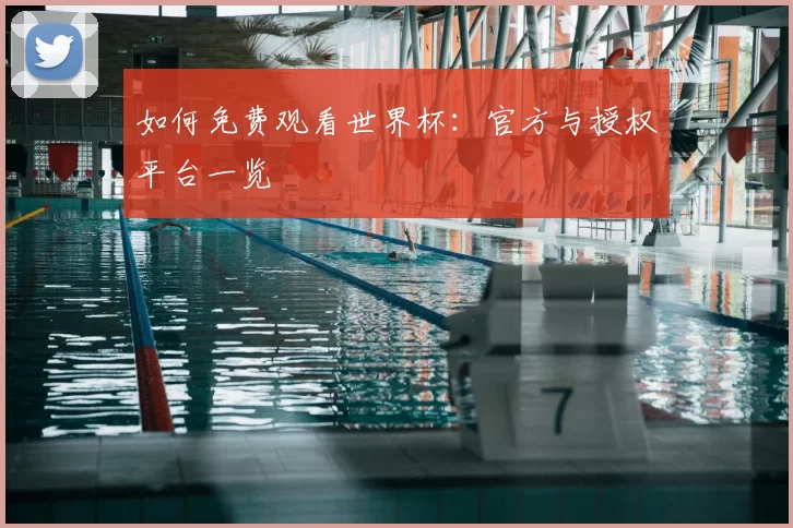 如何免费观看世界杯：官方与授权平台一览