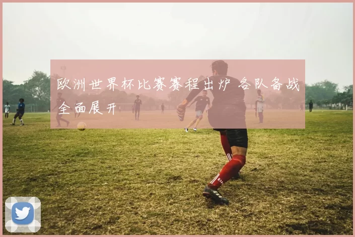 欧洲世界杯比赛赛程出炉 各队备战全面展开