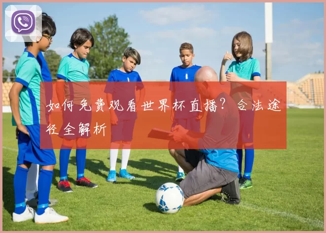 如何免费观看世界杯直播？合法途径全解析